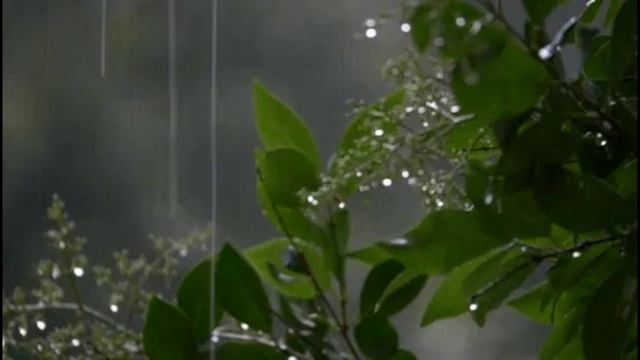 Не переживай, сл. В. Шентала, муз. и исп. ИИ SUNO, запр. С. Морозов