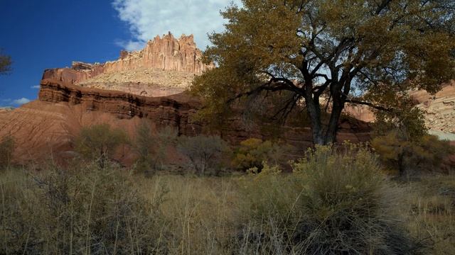 Soothing Desert Sounds At Capitol Reef In 4K