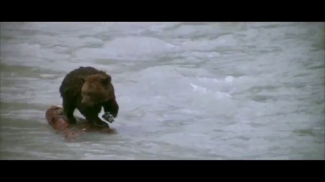 Стой до конца.mp4