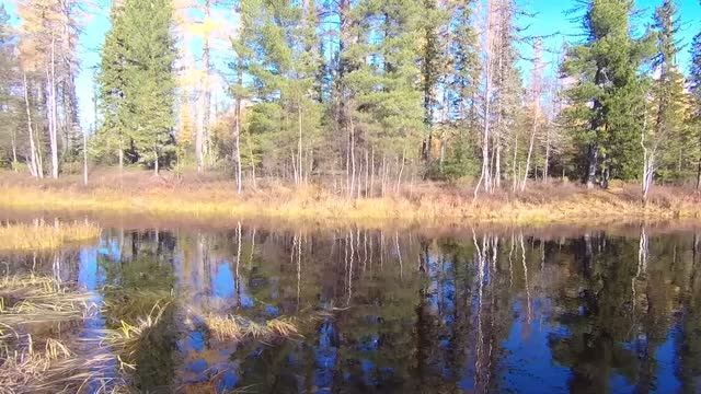 рыбалка на озере 05.10.2024