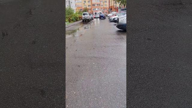 Уехала к новому владельцу...