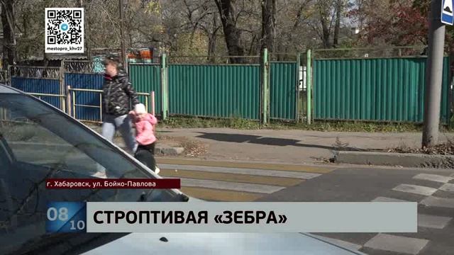 Сам выбежал: 72-летний автомобилист сбил на "зебре" на Бойко-Павлова пешехода, тот госпитализирован