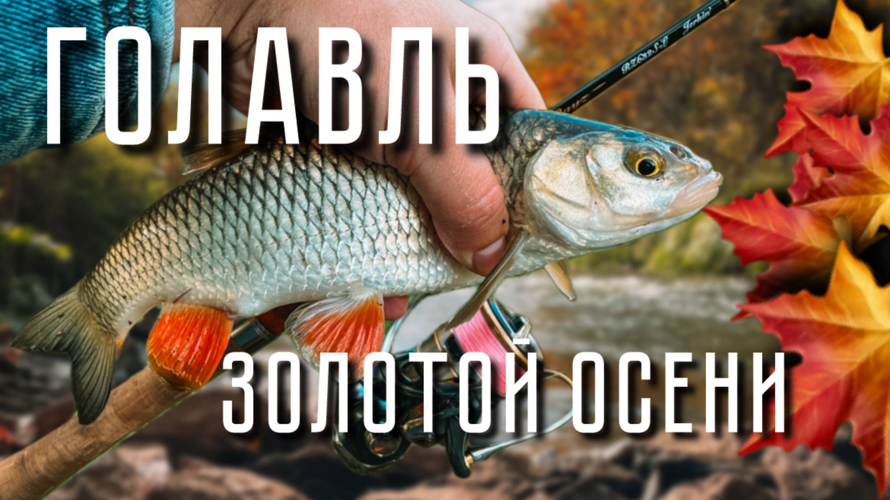 ГОЛАВЛЬ ЗОЛОТОЙ ОСЕНИ! ТАРАКАНИНГ В ОКТЯБРЕ. Рыбалка на Tiemco Tiny Cicada Bass Tune.