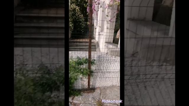 Сквозь столетие...