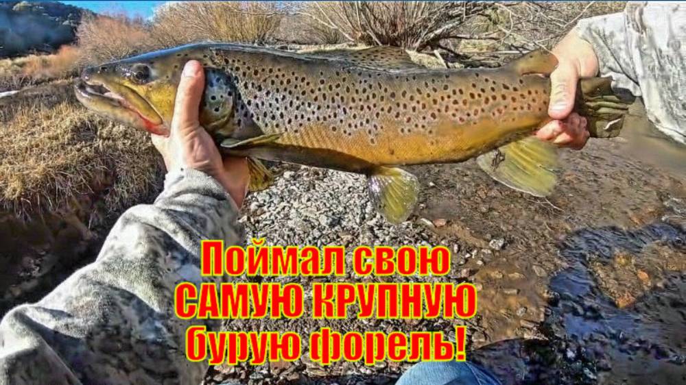 Поймал свою САМУЮ КРУПНУЮ бурую форель!