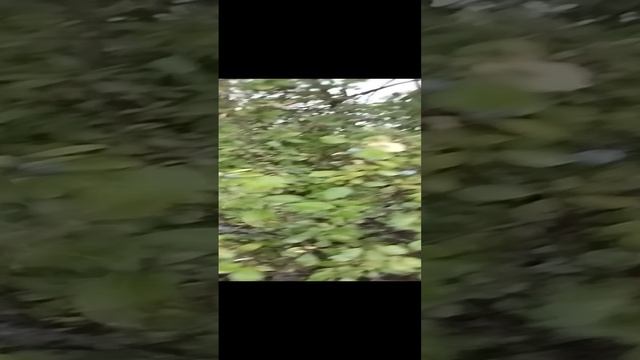 Бег ещё никто не отменял!