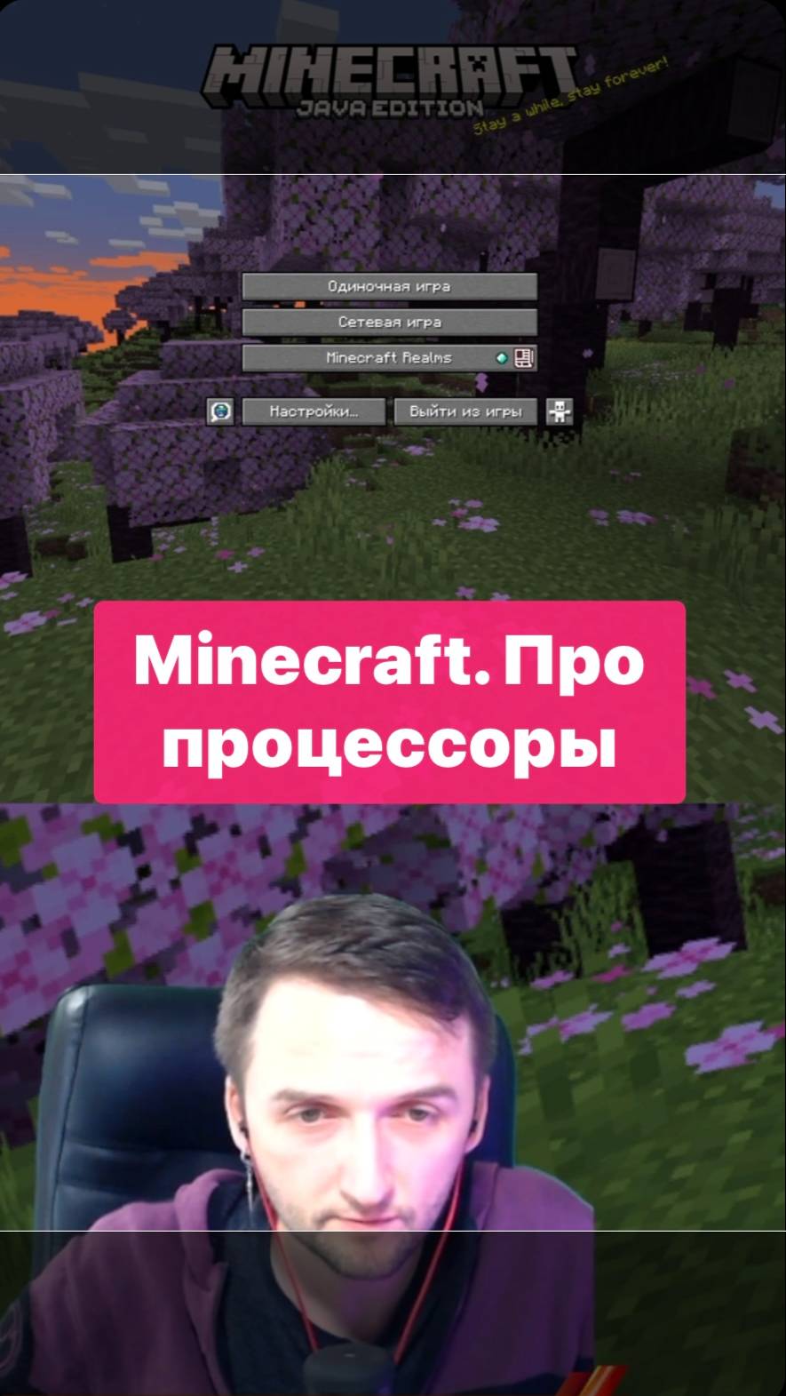 Minecraft в поисках шаблонов Про процессор