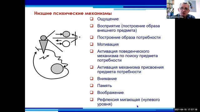 Верхоглазенко В.Н. Психология в методологическом подходе. Часть 1