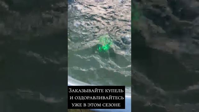 Заказывайте купель от производителя по доступной цене