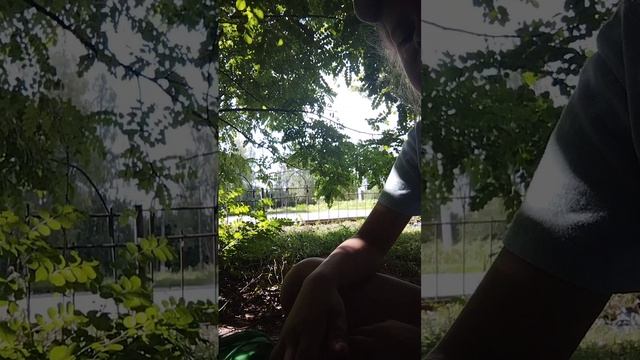 база