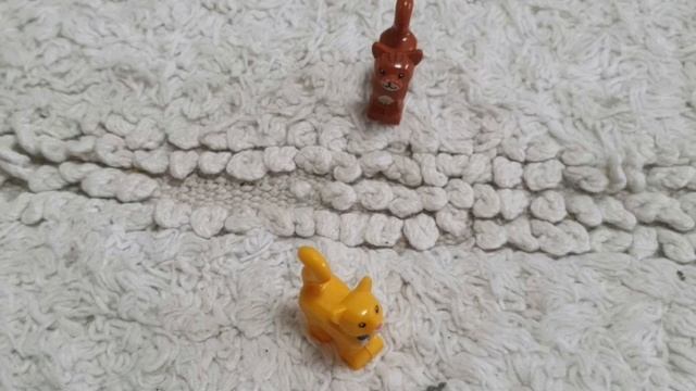 Поселение нового кота 1 серия