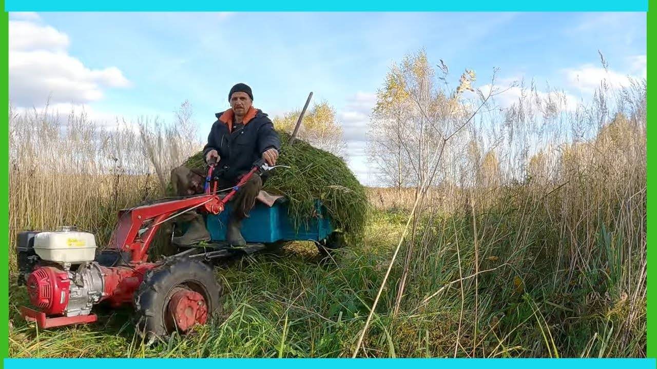 Дела деревенские, в октябре их слишком много!