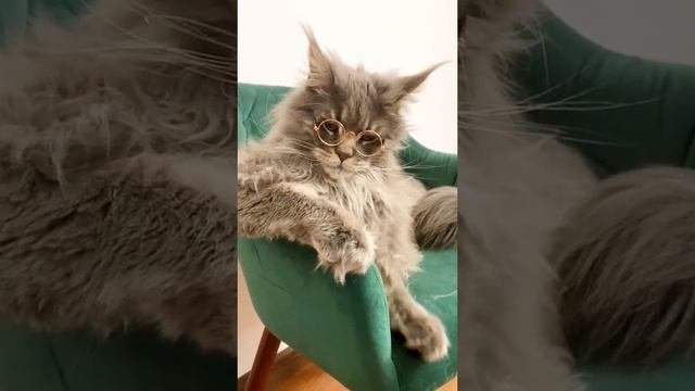 Ну что? Обсудим?😻