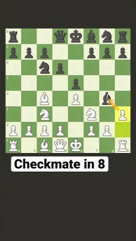 CHECKMATE in 8