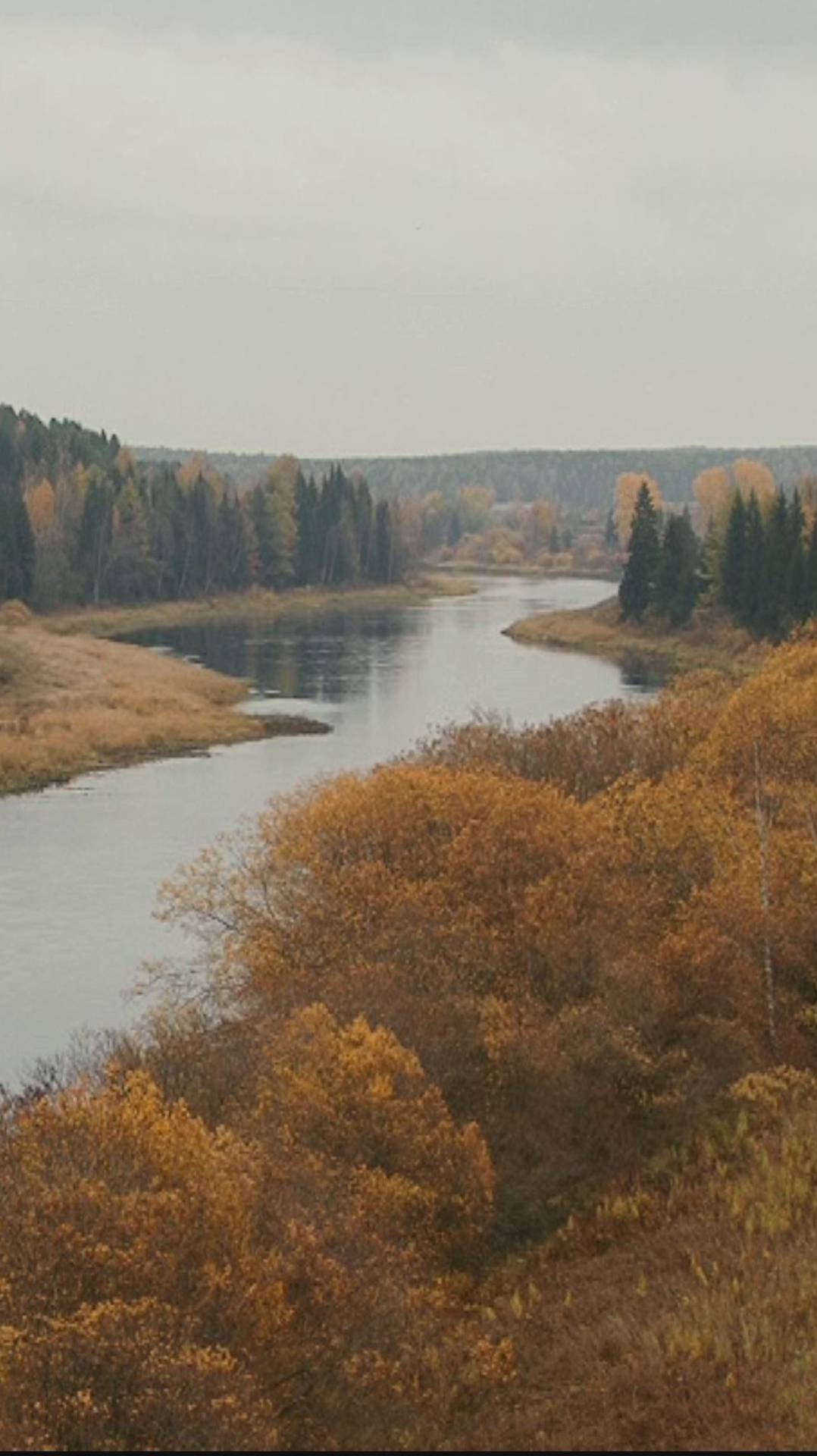 Осень на реке Ухта