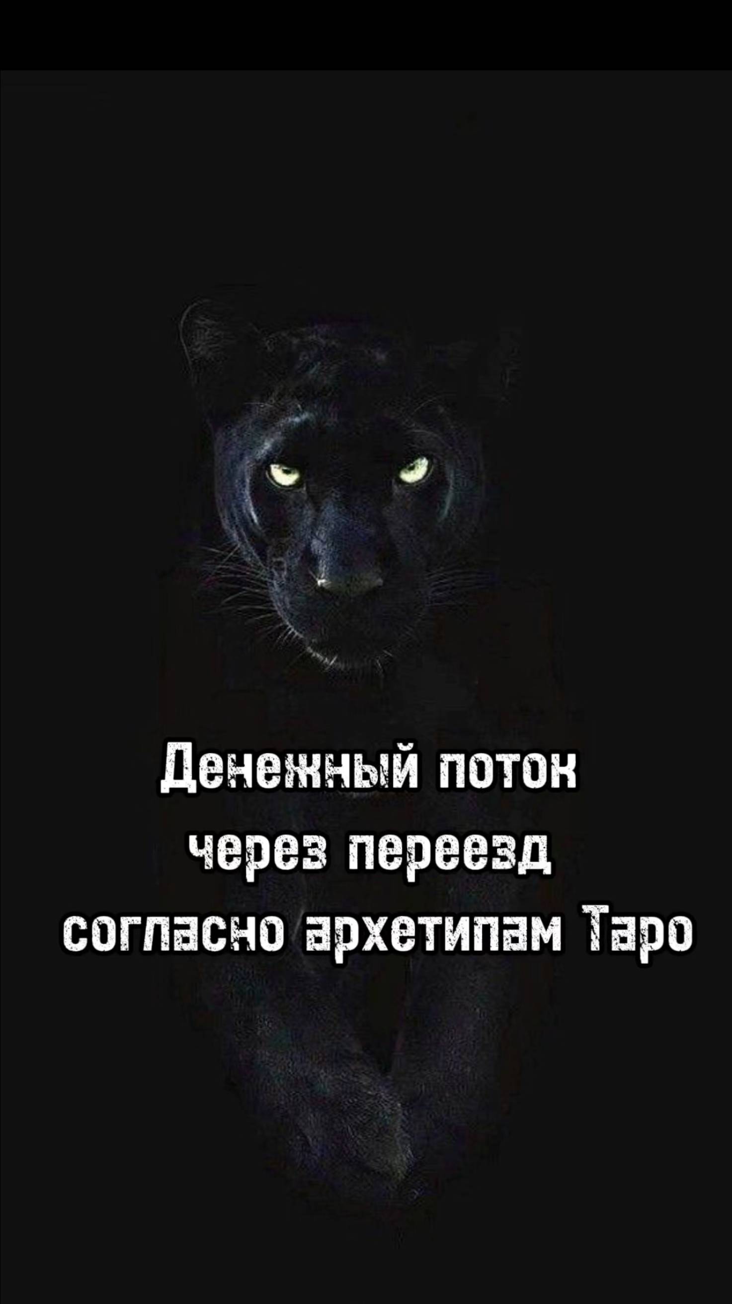 Денежный поток через переезд согласно архетипам Таро