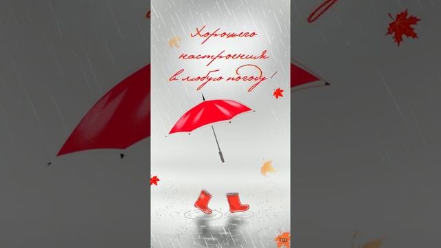 Пожелания
