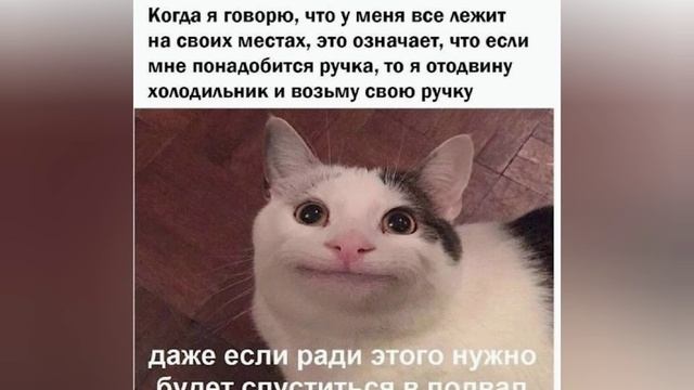 мемы