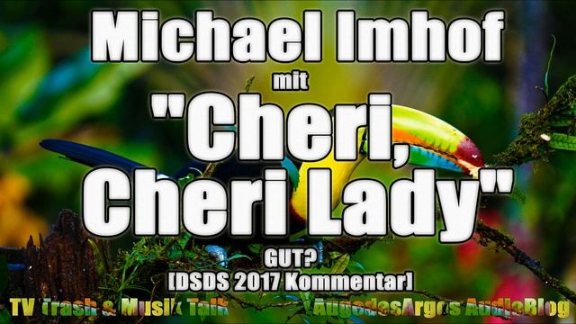 Michael Imhof mit "Cheri, Cheri Lady" von Modern Talking GUT? [DSDS 2017 Kommentar]