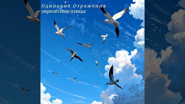 Одинокие Отражения - перелётные птицы