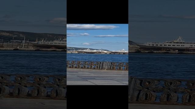 Полет чайки. Набережная Ялты.