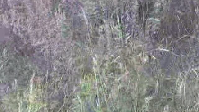 Видео0008.3gp