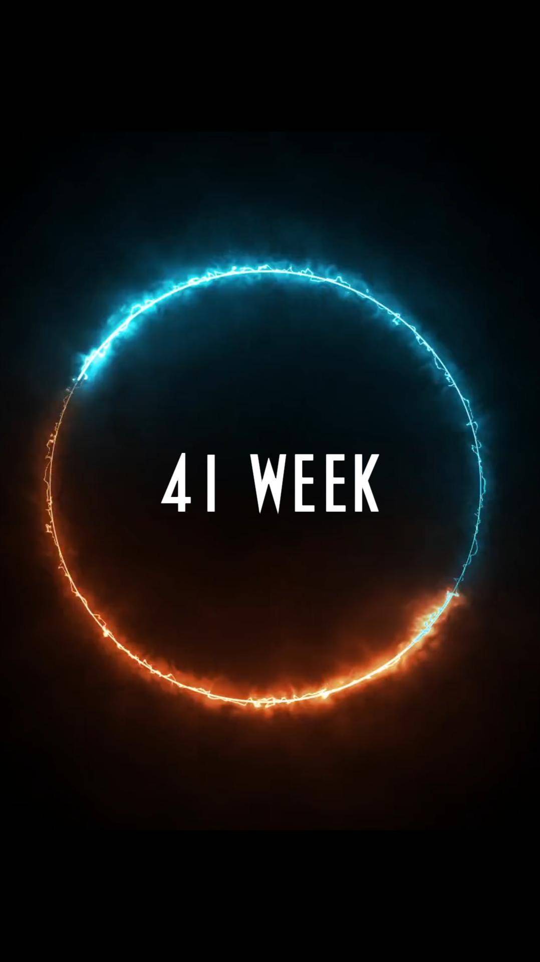 41 week