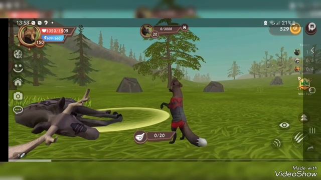 TikTok WildCraft.