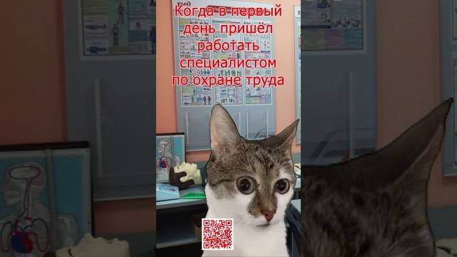 Специалист по охране труда первый рабочий день