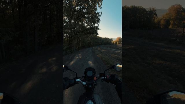 Виноградник в горах  #moto