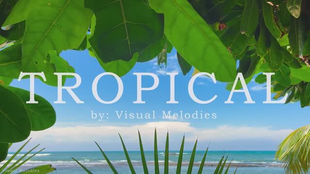 Tropical Caribbean Beach Music Travel Video with Beautiful Views of Beach Travel Destinations