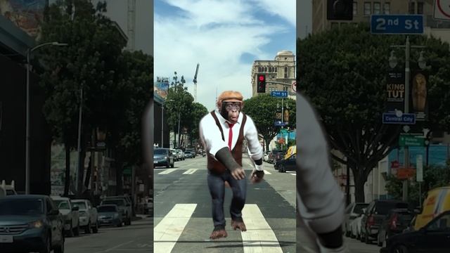 🤟monkey dancing 2🤟