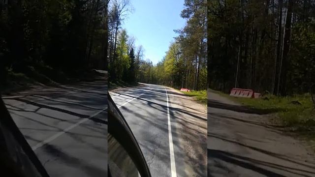 природа Лен. обл.