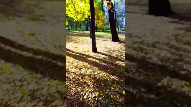 Осенний сквер Комсомола (моё личное стихотворение)