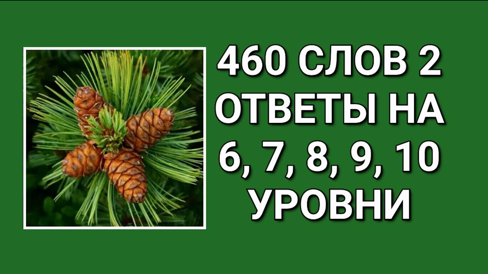 Словесная игра 460 слов 2 ответы на 6, 7, 8, 9, 10 уровни