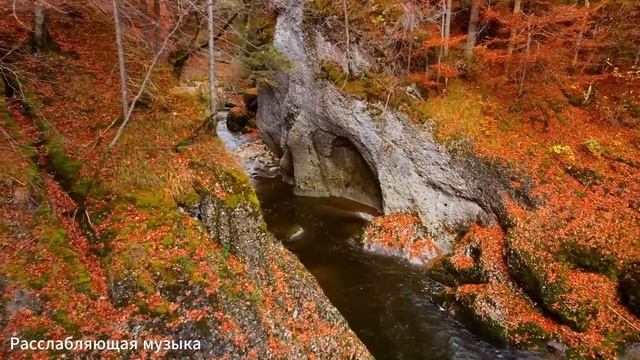 Осенняя Мелодия Любви 🍁