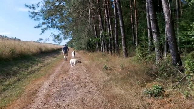 Nice weather Week end morning walk with them near the Lake