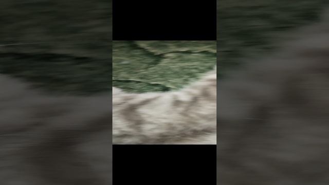 1000041799.mp4