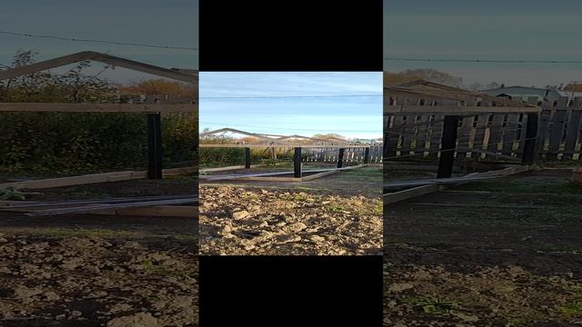 самодельная теплица