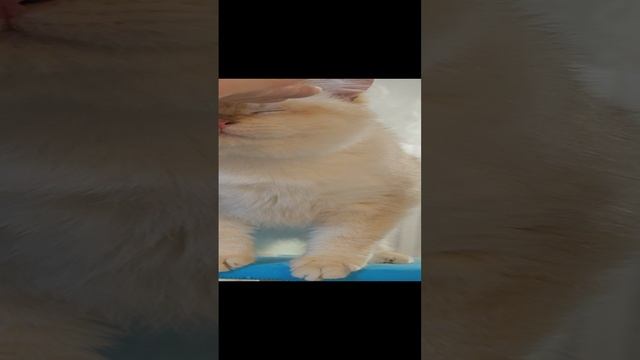 John.mp4
