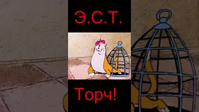 Э.С.Т.- Торч!