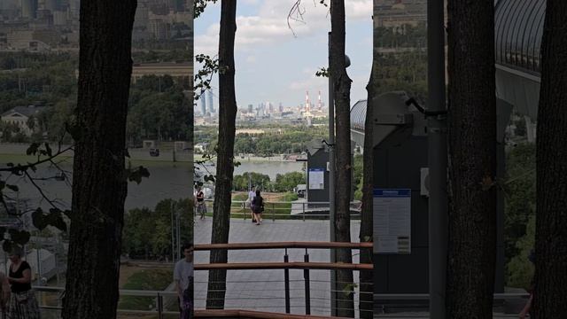 Та самая Смотра. Часть 1.