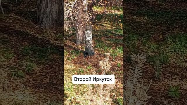 отдых на природе Иркутск