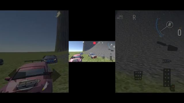 1000005133.mp4