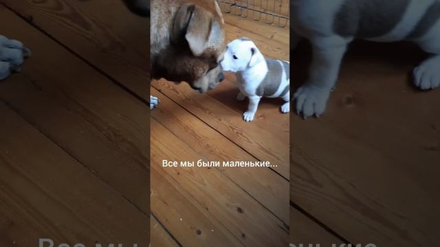 1000072618.mp4