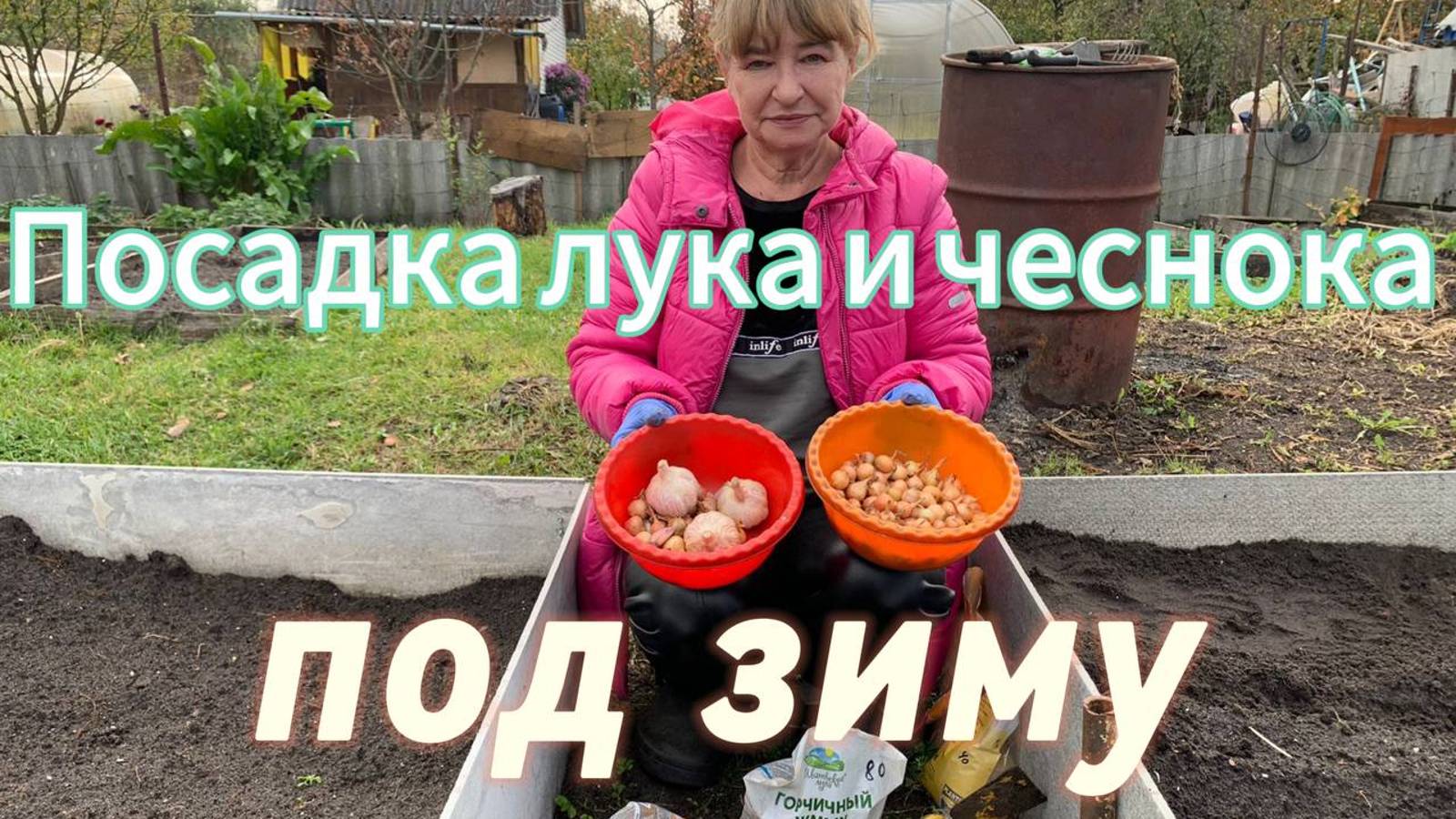 ВСЕ О ПОСАДКЕ ЛУКА И ЧЕСНОКА ПОД ЗИМУ