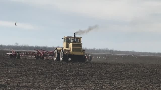 Выравнивающая культивация пахоты