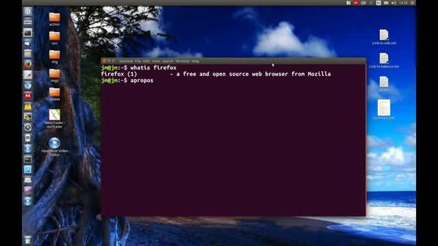 Linux Terminal: The whatis and apropos commands