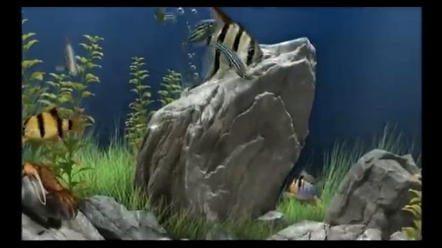 Dream Aquarium Screensaver