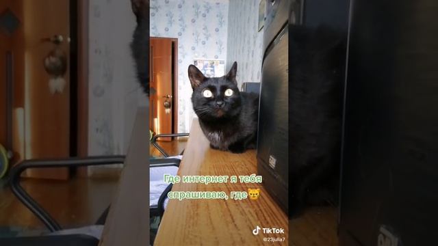 Архив. 22год.🫶😺☝️Васенька.